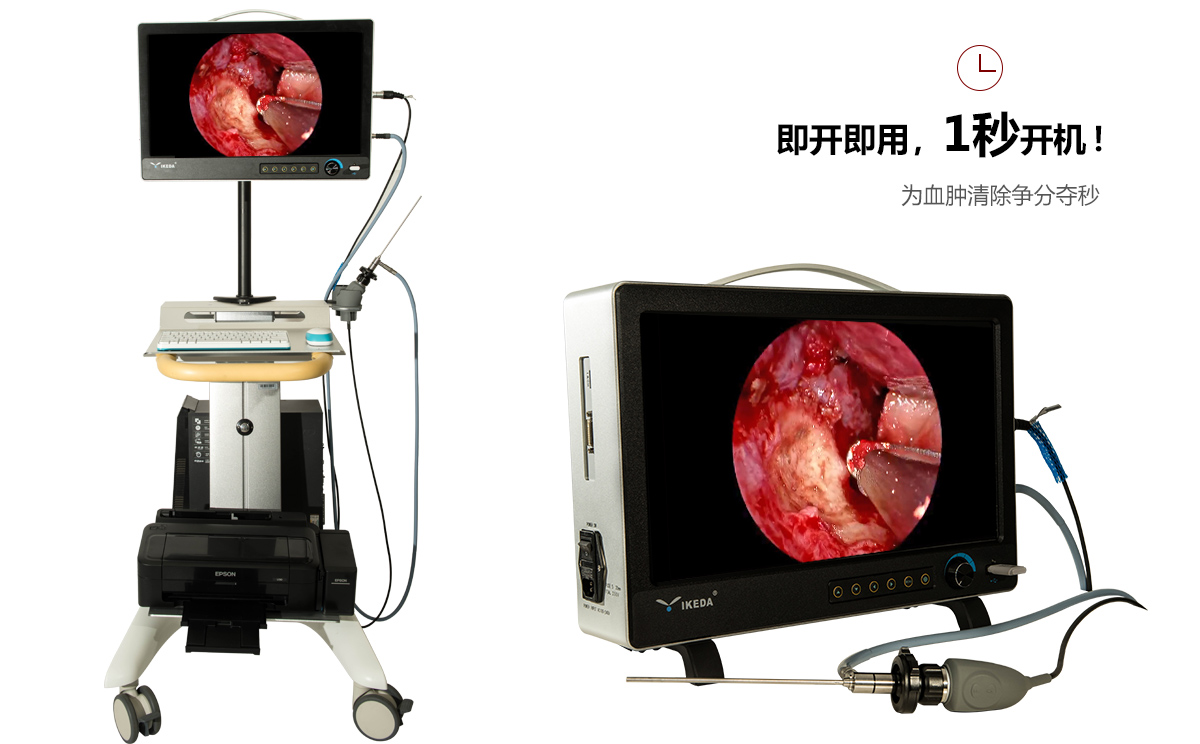 動物耳鼻喉內窺鏡應用 動物耳鼻喉內窺鏡應用