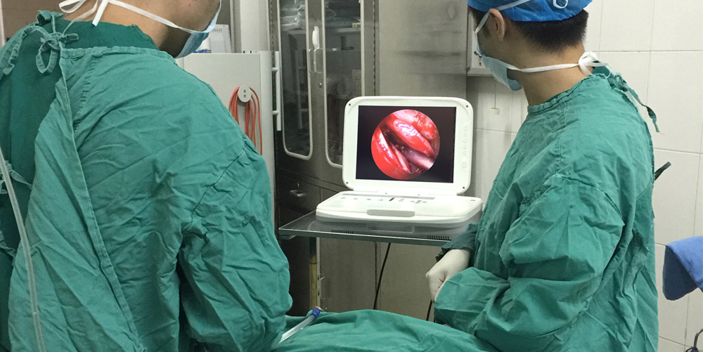 便攜式耳鼻喉內窺鏡系統 便攜式耳鼻喉內窺鏡系統