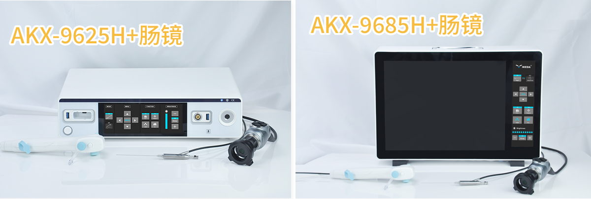 小鼠結腸鏡系統 小鼠結腸鏡系統