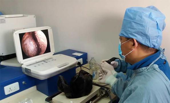 為什么越來(lái)越多的醫(yī)生選擇便攜式內(nèi)窺鏡？